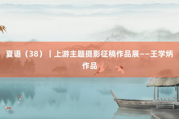 夏语（38）｜上游主题摄影征稿作品展——王学炳作品